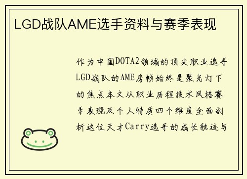 LGD战队AME选手资料与赛季表现