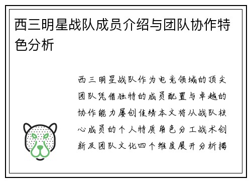 西三明星战队成员介绍与团队协作特色分析