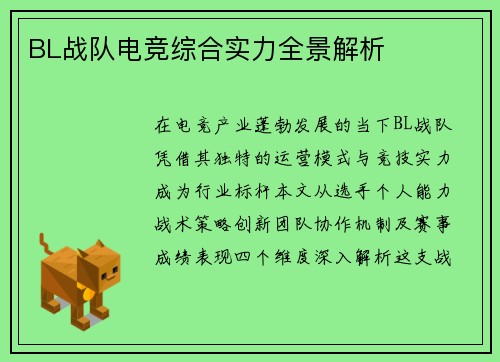 BL战队电竞综合实力全景解析