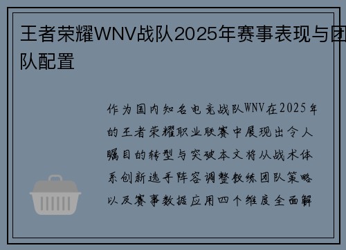 王者荣耀WNV战队2025年赛事表现与团队配置