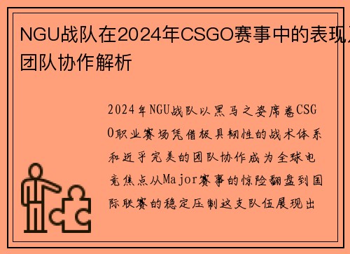 NGU战队在2024年CSGO赛事中的表现及团队协作解析